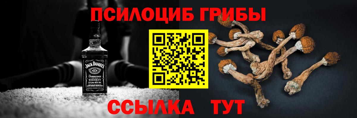 Галлюциногенные грибы прущие грибы  закладка  Вход с VPN  Мариинск  Псилоцибиновые грибы GOLDEN TEACHER 