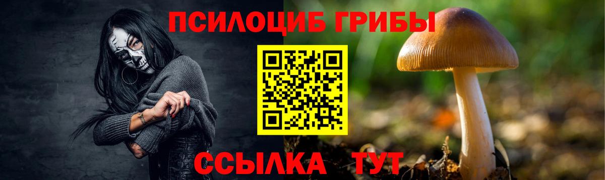 Псилоцибиновые грибы Psilocybe Мариинск